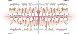 Portugal 8 Cliniques dentaires au Portugal,soins dentaires